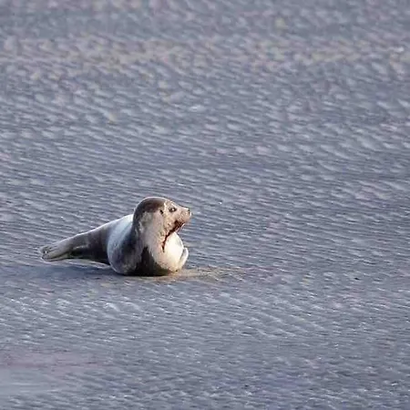 Deux A 150m דירה